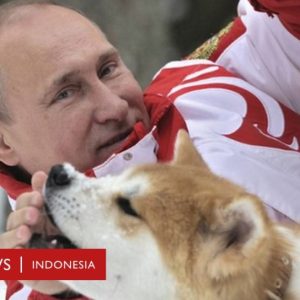 Penggemar Super Misterius Vladimir Putin di Facebook, Apa Misi Mereka?
