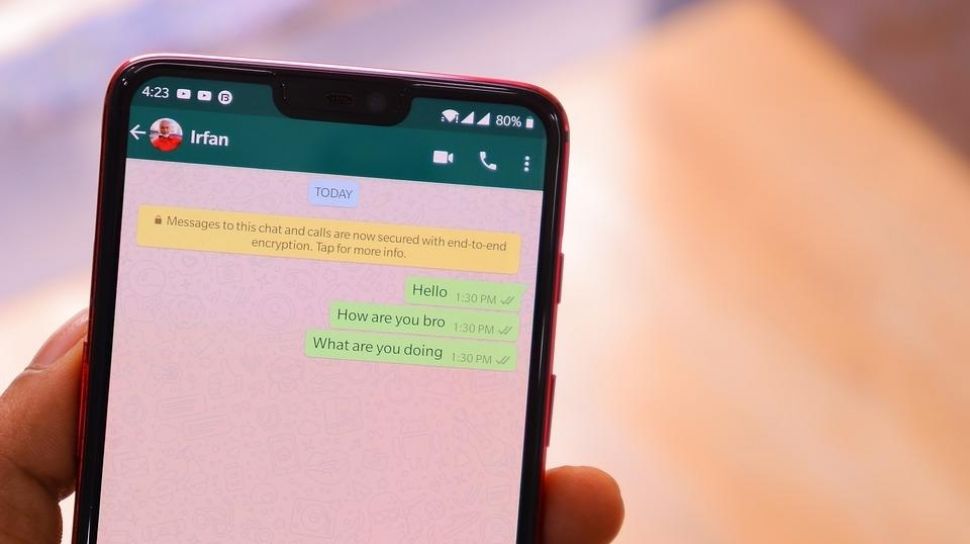 WhatsApp Siapkan Tombol Undo, Kembalikan Pesan yang Dihapus