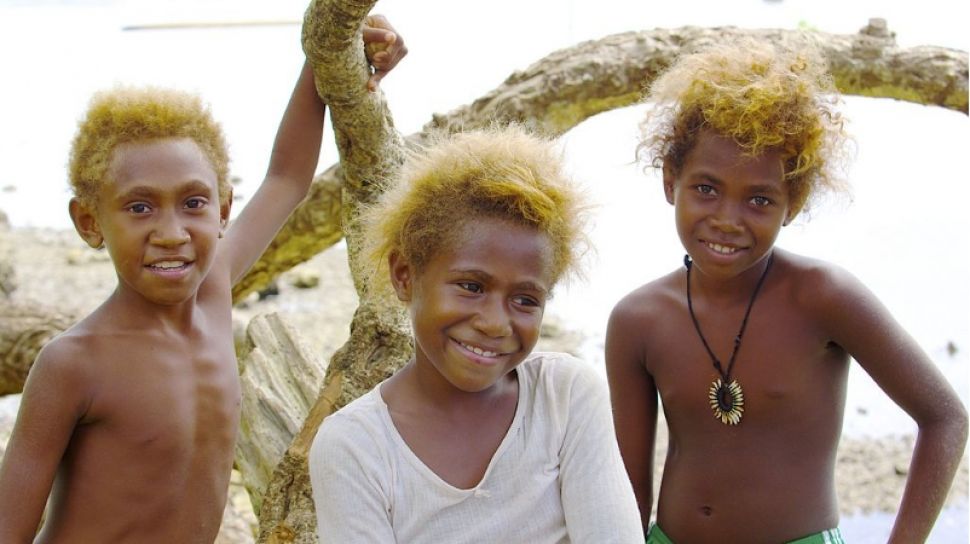 Apa Itu Ras Melanesia? Mengenal Lebih Jauh Budaya Melanesia