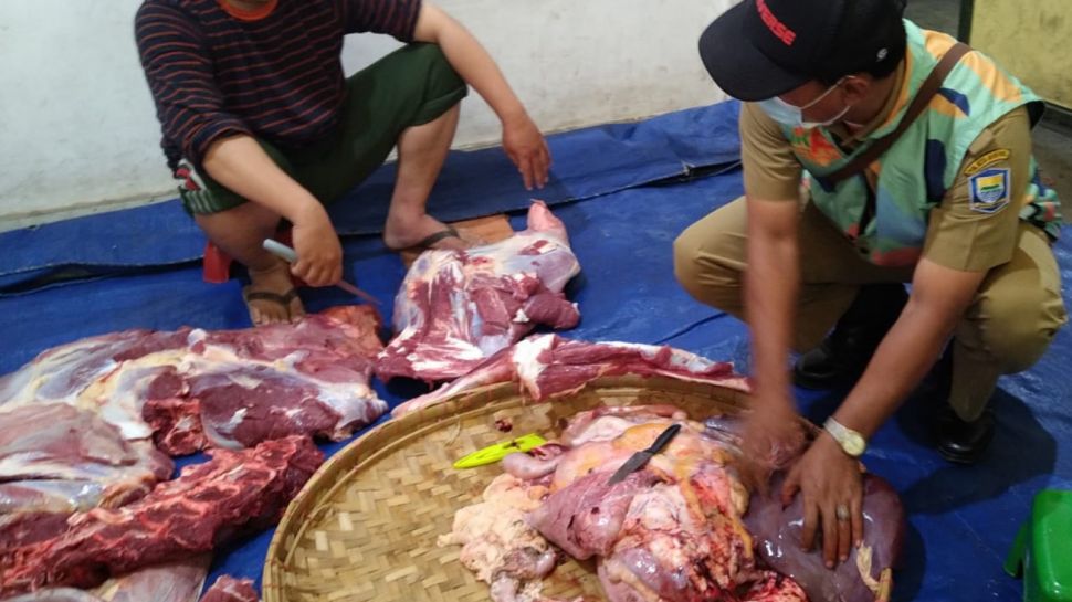 DKPP Kota Bandung Musnahkan Lebih dari 3 Kuintal Jeroan Sapi dan Domba Kurban