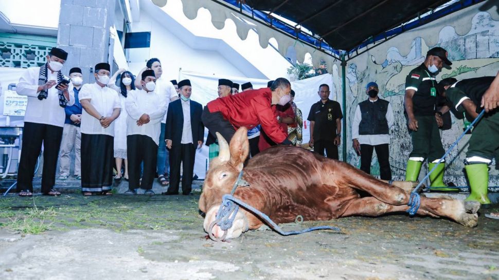 Pemkot Bandung Siapkan Tim Pemeriksa Daging dan Jeroan Selain Terbar 145 Hewan Kurban